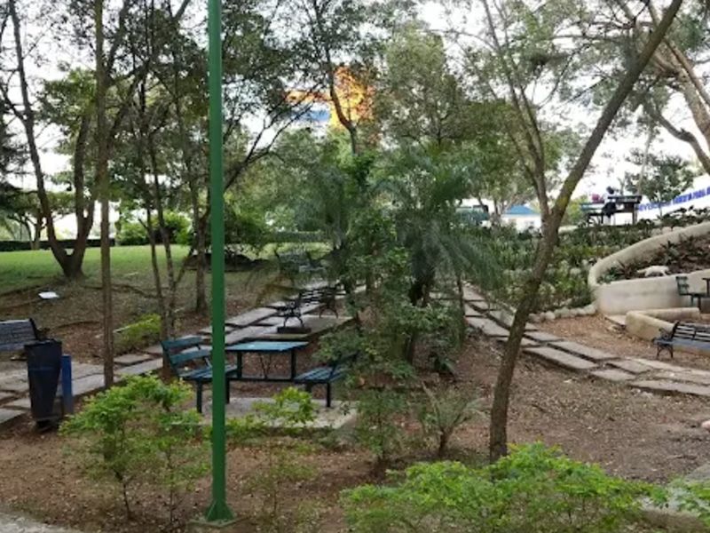 UAPA