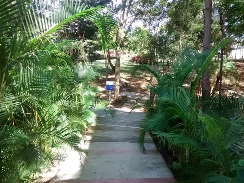 UAPA
